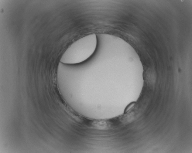 X0000068770181200604281027