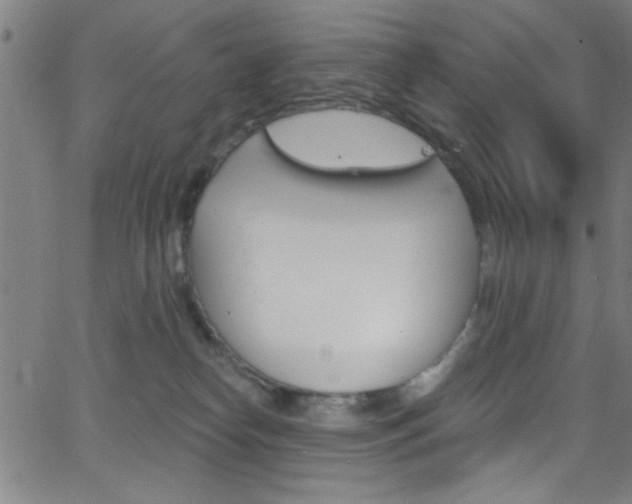 X0000068770182200604281027