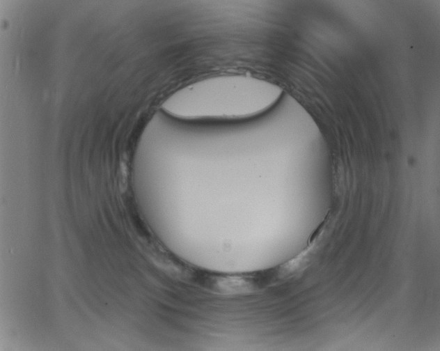 X0000068770183200604281027