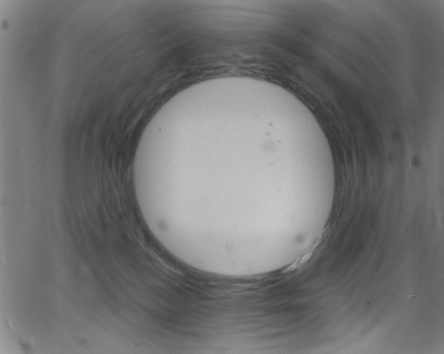 X0000068770184200604281027