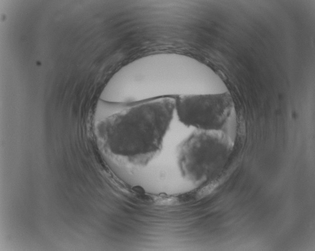 X0000068770185200604281027