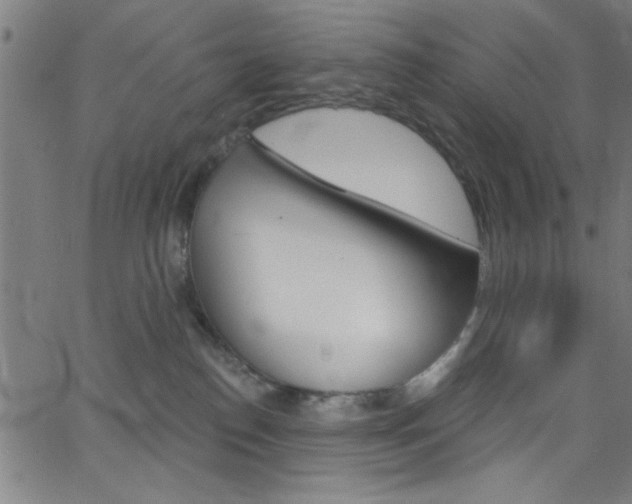 X0000068770186200604281027