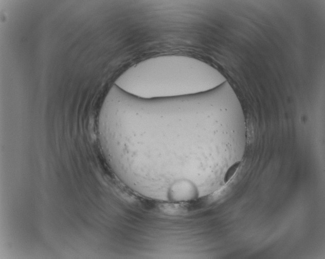 X0000068770187200604281027