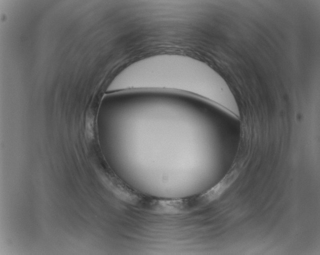 X0000068770188200604281027