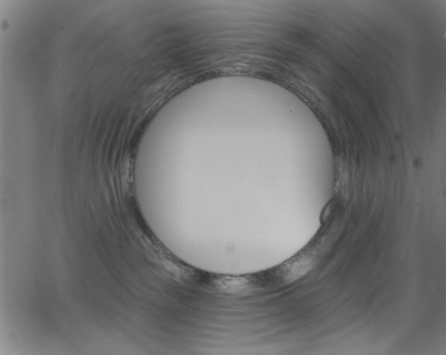 X0000068770189200604281027