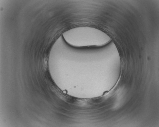 X0000068770190200604281027