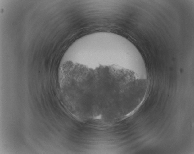 X0000068770191200604281027