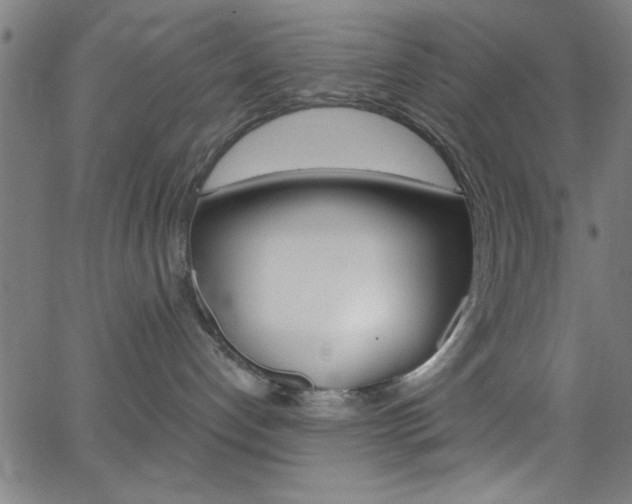 X0000068770192200604281027