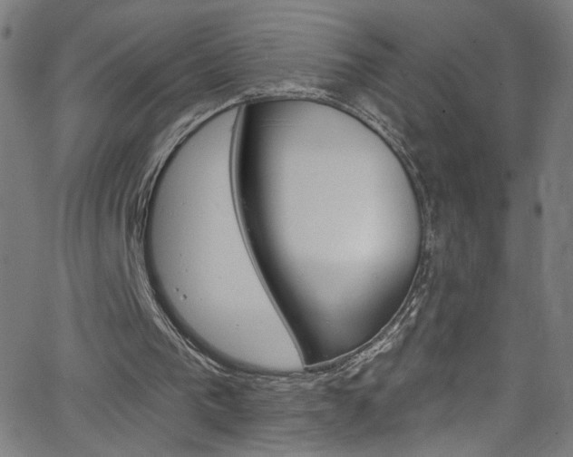 X0000068770193200604281026