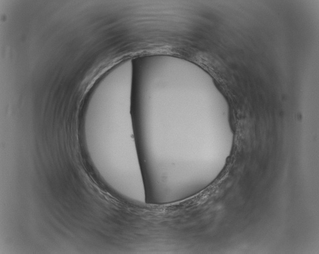 X0000068770194200604281026