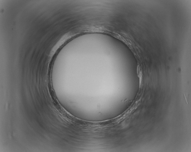 X0000068770195200604281026