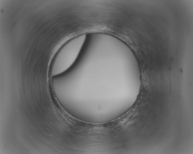 X0000068770196200604281026