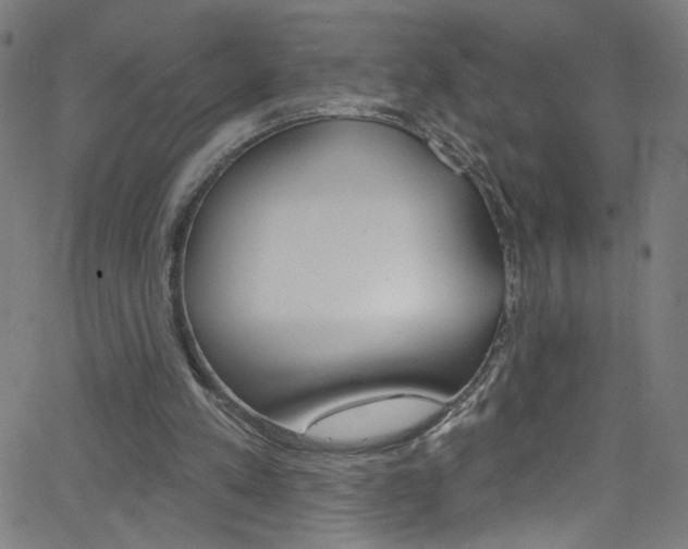 X0000068770197200604281026