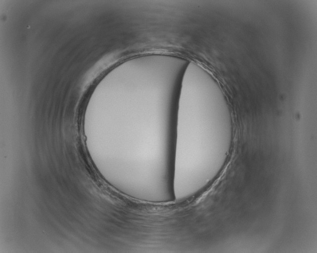 X0000068770198200604281026