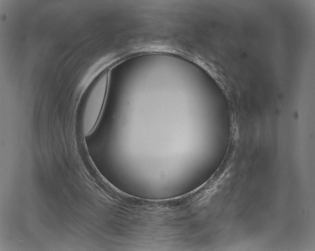 X0000068770199200604281026