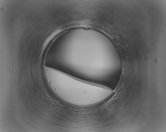 X0000068770200200604281026