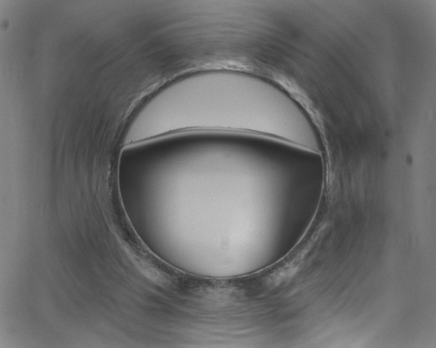 X0000068770201200604281026