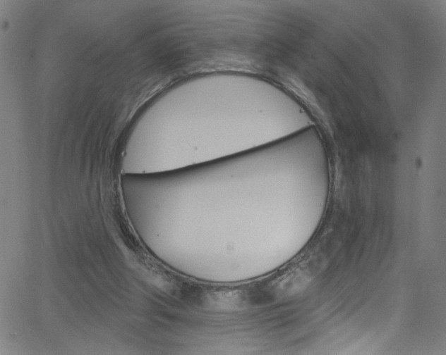 X0000068770202200604281026