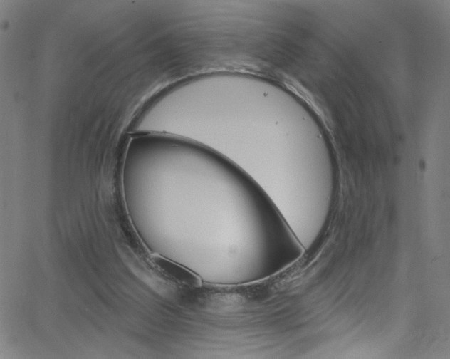 X0000068770203200604281026