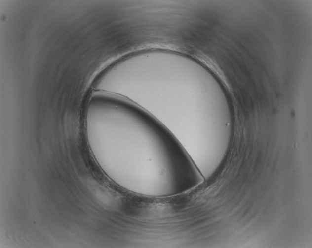 X0000068770204200604281026