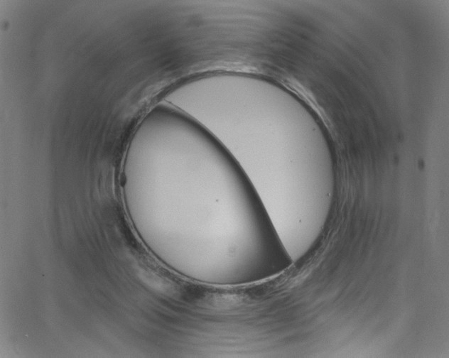 X0000068770205200604281026