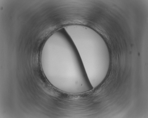 X0000068770206200604281026