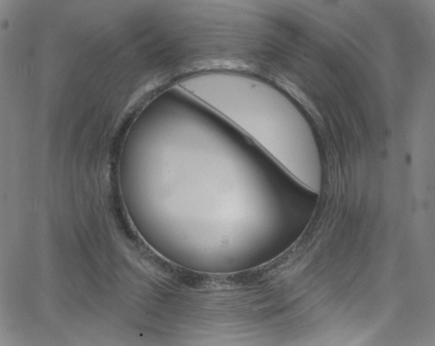 X0000068770207200604281026