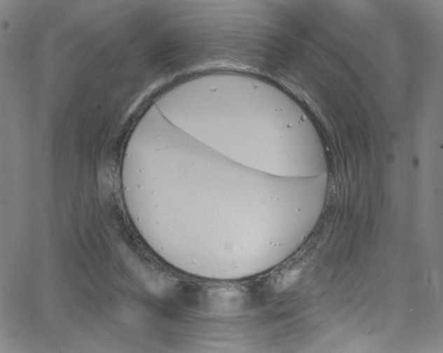 X0000068770208200604281026