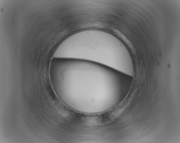 X0000068770209200604281026