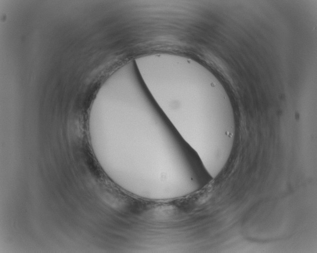 X0000068770210200604281026