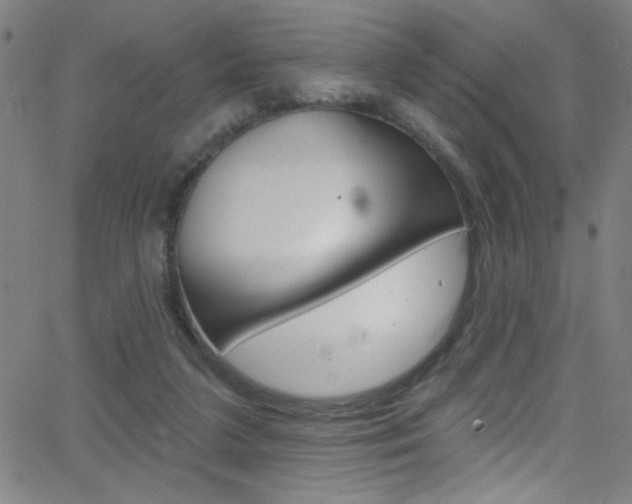 X0000068770211200604281026