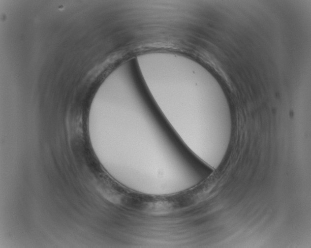 X0000068770212200604281026