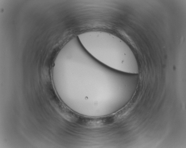 X0000068770213200604281026