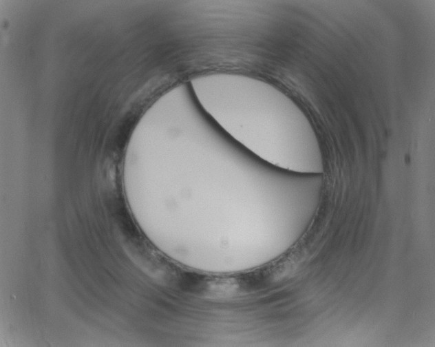 X0000068770214200604281026