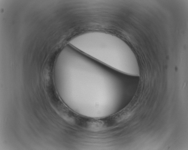 X0000068770215200604281026