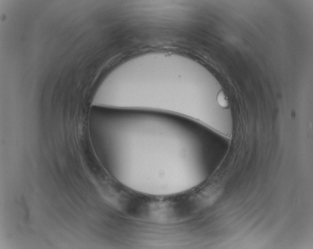 X0000068770216200604281026