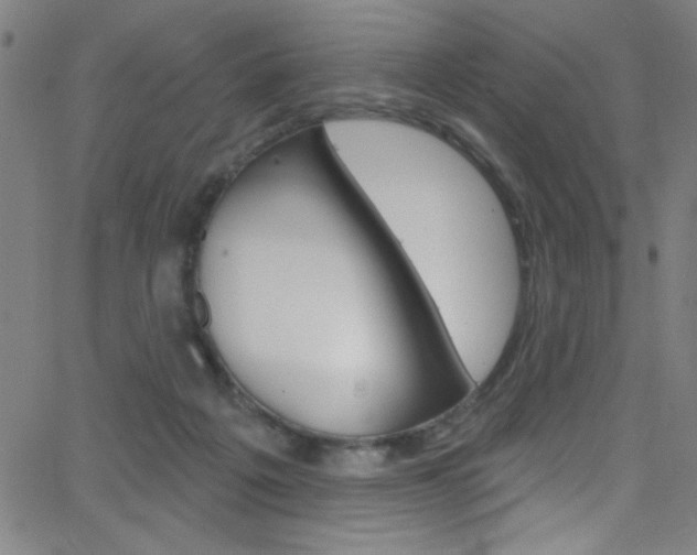 X0000068770217200604281026