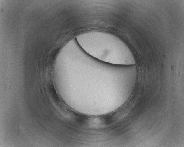 X0000068770218200604281026