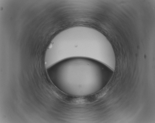 X0000068770219200604281026