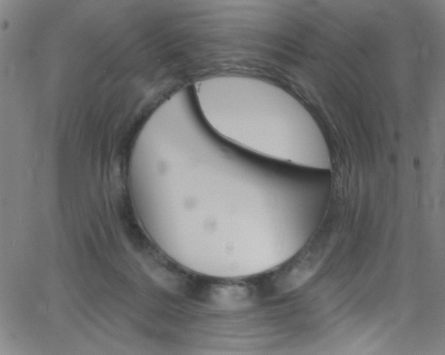 X0000068770220200604281026