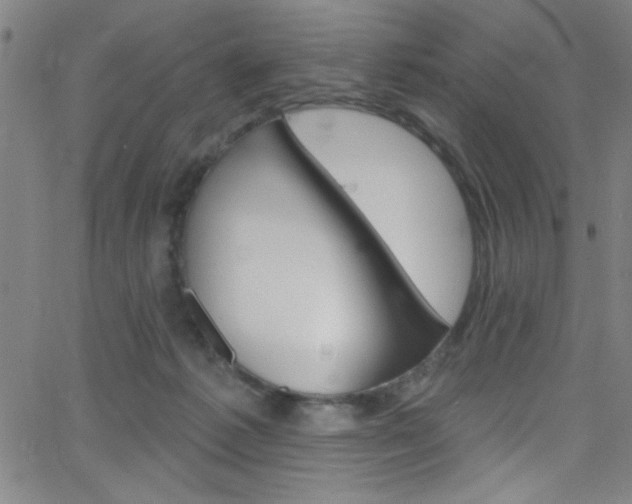 X0000068770221200604281026