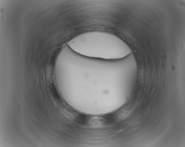 X0000068770222200604281026