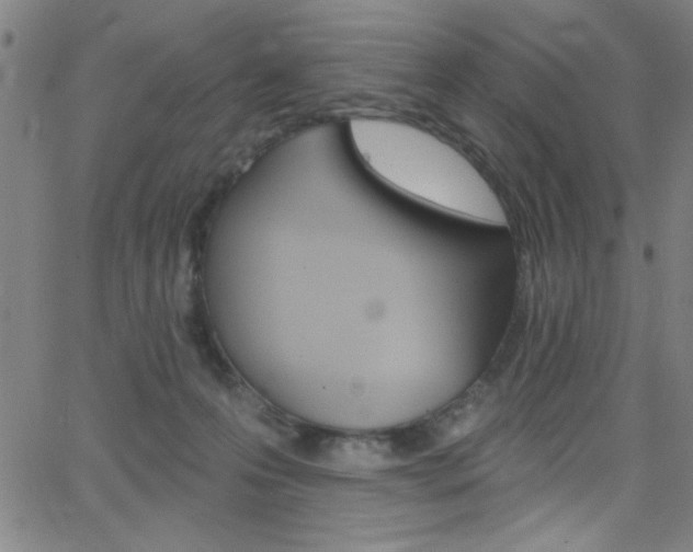 X0000068770223200604281026