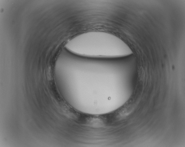 X0000068770224200604281026