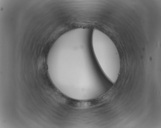 X0000068770225200604281026