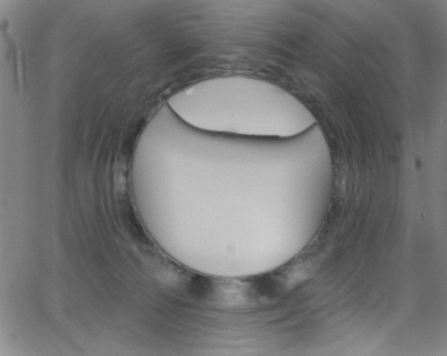 X0000068770226200604281026