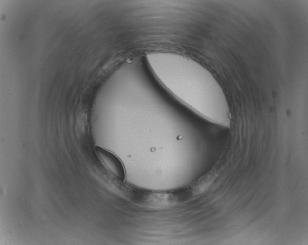 X0000068770227200604281026