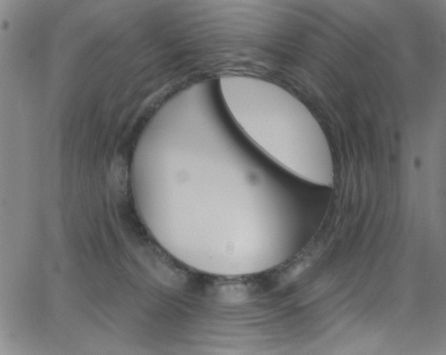 X0000068770228200604281026