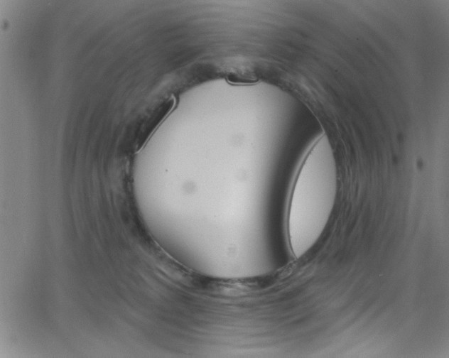 X0000068770229200604281026