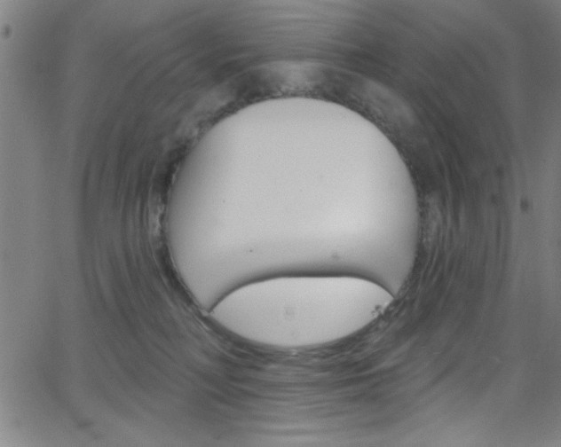 X0000068770230200604281026